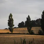Bakkehuset Skovby (Aeroe)