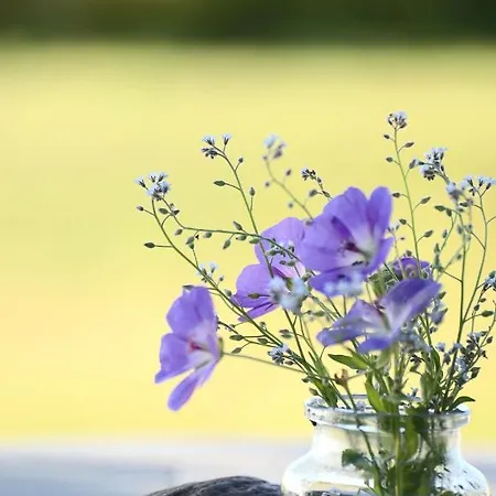 בית הארחה Bakkehuset Skovby (Aeroe)