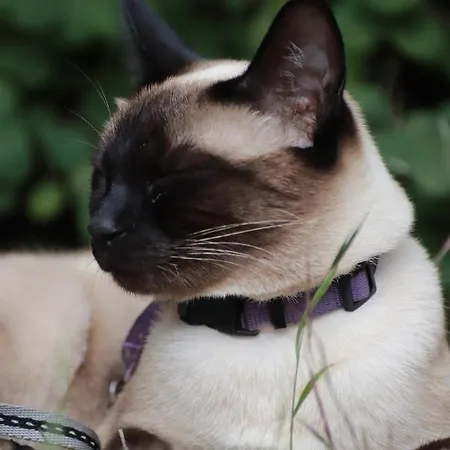 Bakkehuset בית הארחה Skovby (Aeroe)