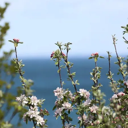 Bakkehuset בית הארחה