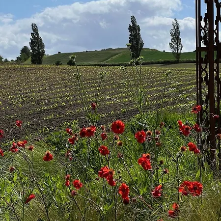 Bakkehuset Skovby (Aeroe)