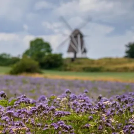 Bakkehuset Skovby (Aeroe)