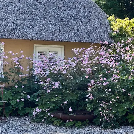 Bakkehuset בית הארחה