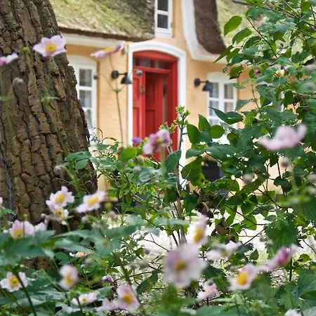 בית הארחה Bakkehuset