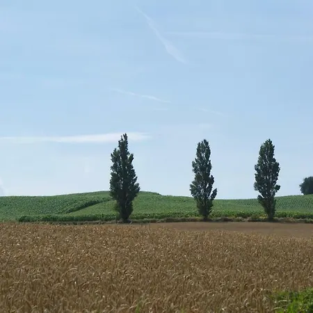 בית הארחה Bakkehuset