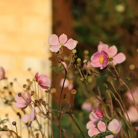 בית הארחה Bakkehuset